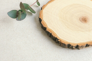 切り株　コピースペースのあるナチュラルな木目背景素材