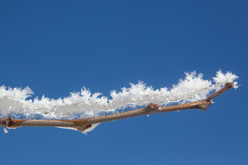 Obraz premium shot of ice crystals. Winter pattern with white snowflakes on the background of the blue sky