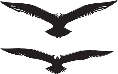 Eagle flying in the sky vector silhouette illustration