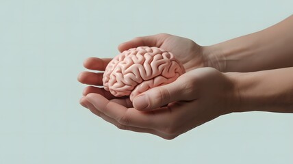 Side View of Human Hands Holding a Model of a Human Brain care