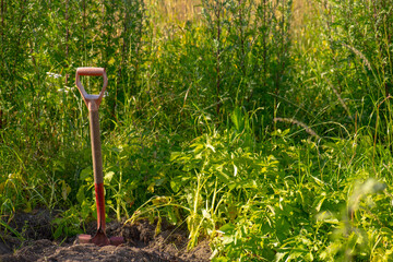Garden shovel standing in cultivated rural farmland soil. © Trygve