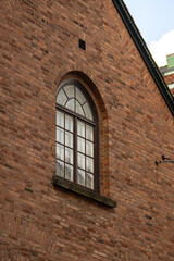 Bumblebee Bombus terrestris on white wildflower in summer meadow. © Trygve