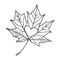 simple maple leaf drawing with heart shape detail