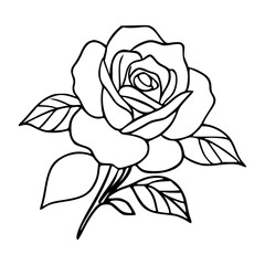 classic floral rose outline for design
