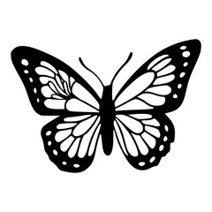 minimalist butterfly wing detail vector drawing