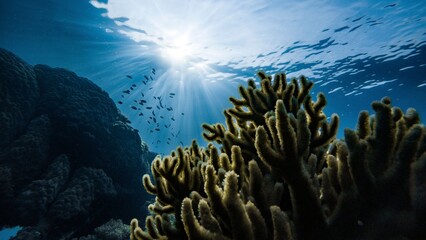Stunning underwater scene featuring jellyfish, whales, sharks, and diverse marine life in a vibrant coral reef, captured with cinematic realism and vivid detail. © lukai