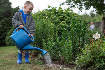 The concept of gardening, garden maintenance, and teaching a child to work. A boy with a blue watering can is watering plants and flowers in a summer garden outdoors. © Юлия Клюева