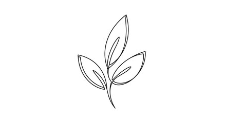 Obraz premium Simple Line Drawing of a Three-Leaf Plant.