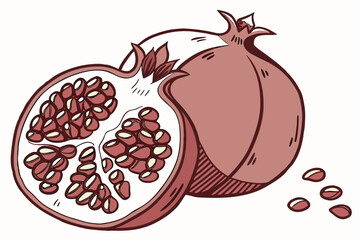 A vector graphic illustration of a pomegranate cut in half with seeds spilling out
