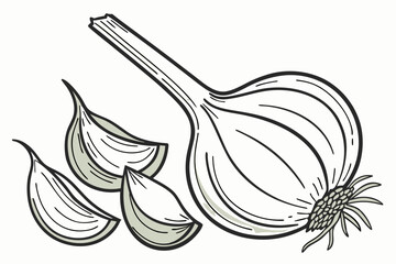 A vector graphic illustration of a whole onion with cloves and slices on a white background