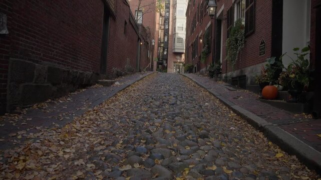 Historic Cobblestone Alley With Autumn Leaves in Boston