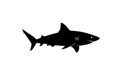 Obraz premium Silhouette of a shark swimming alone.