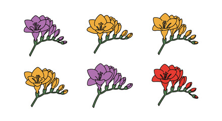 Obraz premium Freesia Line art creative modern abstract illustration
