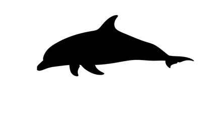 Fototapeta premium Black silhouette of a dolphin swimming.