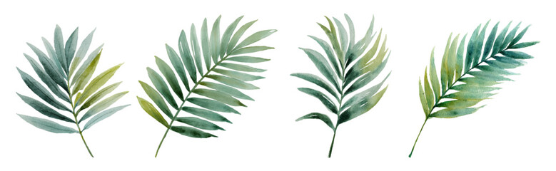 Fototapeta premium Tropical palm leaf collection in watercolor style showcasing exotic jungle foliage. Vibrant green botanical set ideal for summer patterns, floral backgrounds, and nature-inspired design elements.