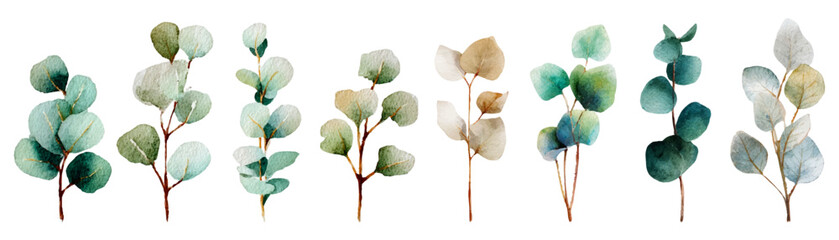 Watercolor eucalyptus leaves frame elegant green botanical border. Perfect for wedding cards, spring invitations, nature-inspired designs with fresh greenery and floral accents. © Narin