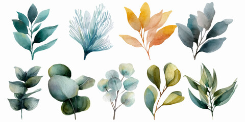 Watercolor green leaves and botanical foliage set. Hand-painted leaf elements with eucalyptus branches, perfect for floral wedding designs and spring patterns. © Narin