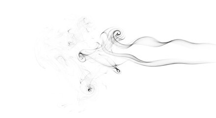 Flowing smoke wave isolated on transparent background, elegant thin vapor lines.