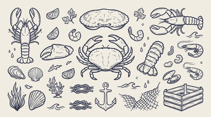 Vintage hand-drawn seafood and nautical elements collection with lobsters, crabs, shrimp, shells, anchor, and fishing net on a light background. © KN collection