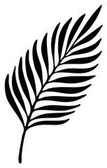 Obraz premium Minimalist Black and White Palm Leaf Silhouette Isolated on White Background
