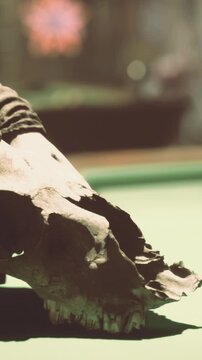 A striking skull with large horns rests on a pool table in a dimly lit room. The atmosphere is captivating as players engage in a game in the background.