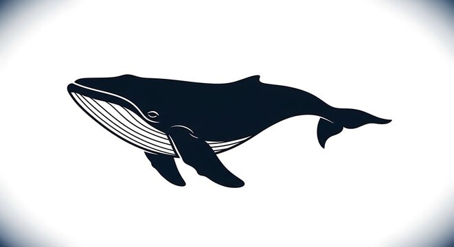 Black whale silhouette isolated white background.