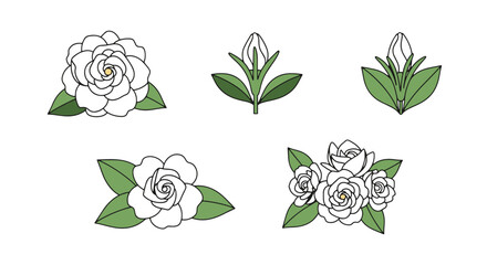 Gardenia Line art clean modern abstract illustration © Sumon