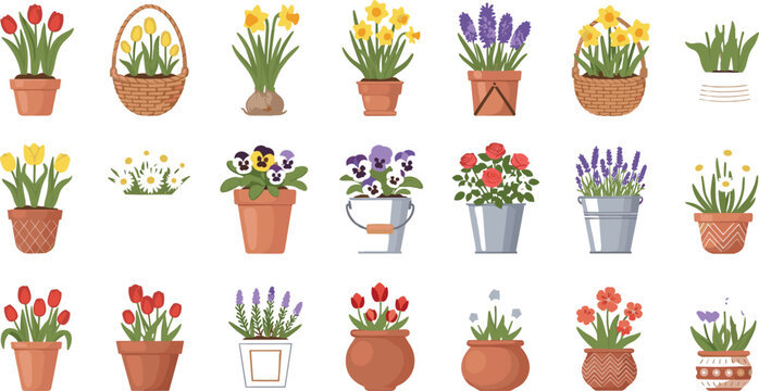 Spring Flower Pot Vector Collection with Tulips, Daffodils, Lavender, Pansies and Blooming Garden Plants in Decorative Containers