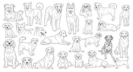 Dog Breeds Line Art Collection Hand Drawn Outline Set © MdAlom