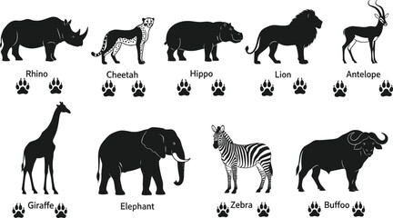 Set of African safari animal silhouettes including lion, elephant, giraffe, zebra, rhino, cheetah, hippo, and buffalo with matching wildlife paw prints. © Niheranjan