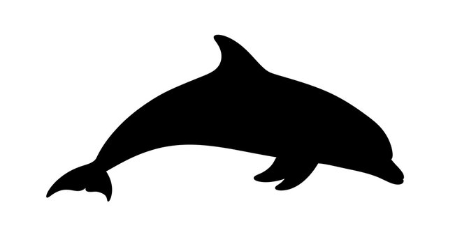 Black dolphin silhouette swimming ocean.