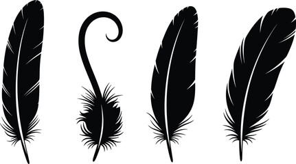 Set of bird feather silhouettes, black quill collection, decorative wings elements, cad drawing flat vector illustration, elegant plumage isolated on white background, nature art © RIPON