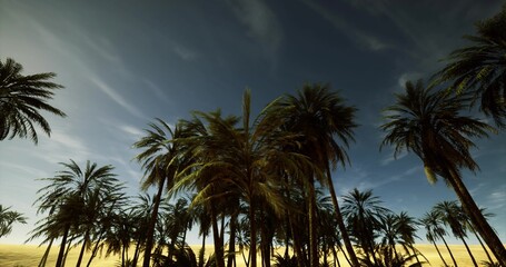 Fototapeta premium palm silhouettes at golden hour, warm sky and tall trunks framing tranquil coastal horizon with soft breeze rustling fronds and scattered clouds, ideal