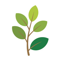 Obraz premium Simple green leaves branch illustration on white background