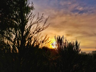 Obraz premium A photography of a screen displaying a dramatic and intensely colored sunset scene. The image is captured vertically and has a dark, frame appearance, ranging from deep and red orange, warm colors. 