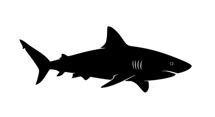 Fototapeta premium Black silhouette of a shark swimming.