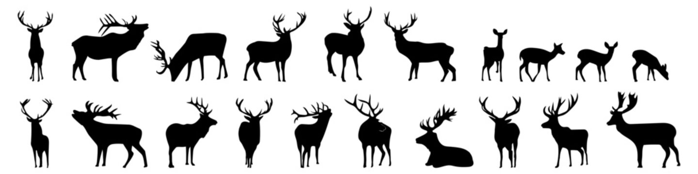   black deer silhouettes on a white background
