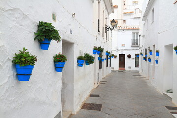 Fototapeta premium Whitewashed Alley With Blue Flower Pots