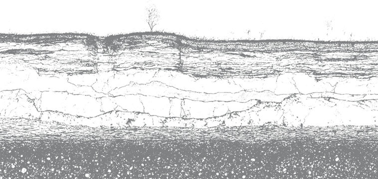 Cross section of earth layers showing soil strata and a lone tree on the surface