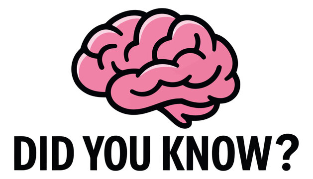 Graphic illustration of a human brain depicting curiosity and knowledge for education and quizzes