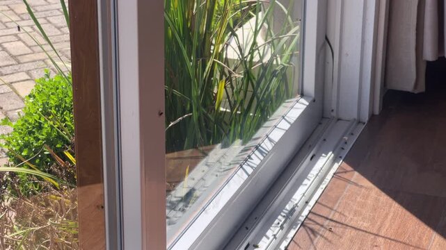 Massive dead fly infestation on sliding door track with insects scattered on PVC threshold in sunlight.