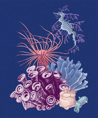 Fototapeta premium Coral reef group with sea leaf dragon