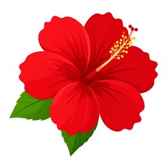 A large red flower with green leaves on a white background (1)