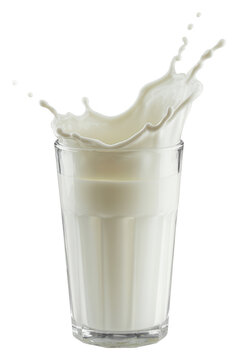 Glass of milk with splash liquid drink isolated on a transparent background