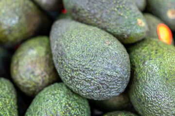 Texture of Fresh Green Hass Avocados at Market