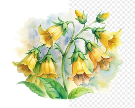 Watercolor Yellow Bells Flower, Tropical Botanical Art, vector illustration isolated on white background
