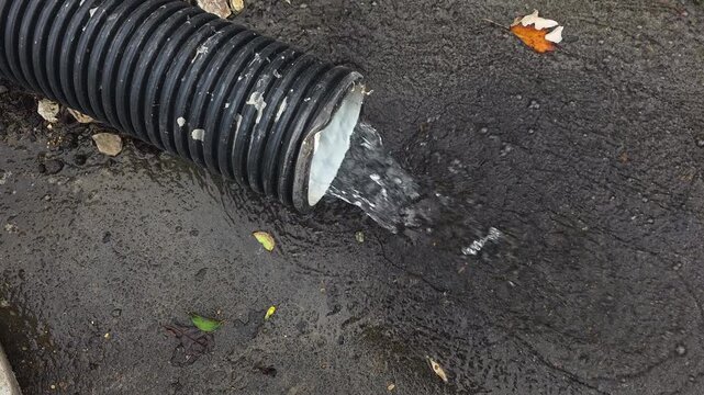 Industrial plastic pipe draining rainwater into a wet asphalt puddle during an autumn storm, capturing the overflow and street runoff from the gutter downspout
