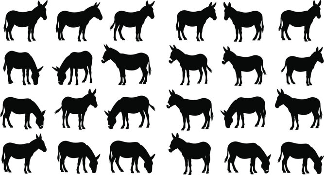 Donkey Silhouette Set Farm Animal Collection in Various Poses Isolated on White Background Vector Illustration