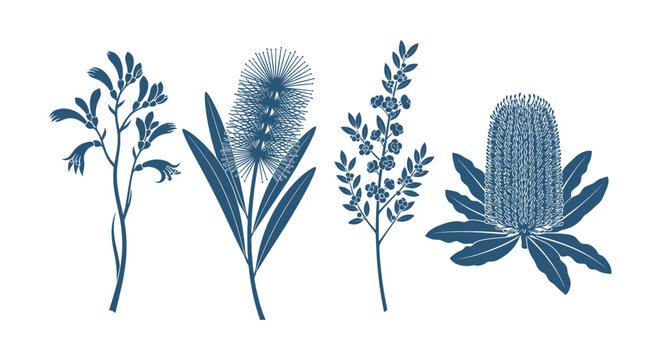 Elegant Australian Native Flora Botanical Vector Silhouettes Collection Minimalist Nature Design Elements