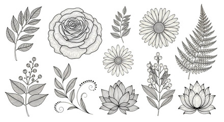 Landscape vegetation elevation symbols for urban design projects © Ai_Images